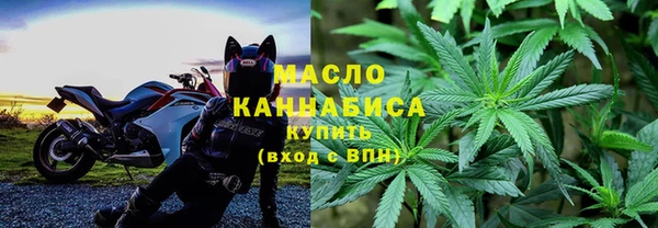 индика Вязьма